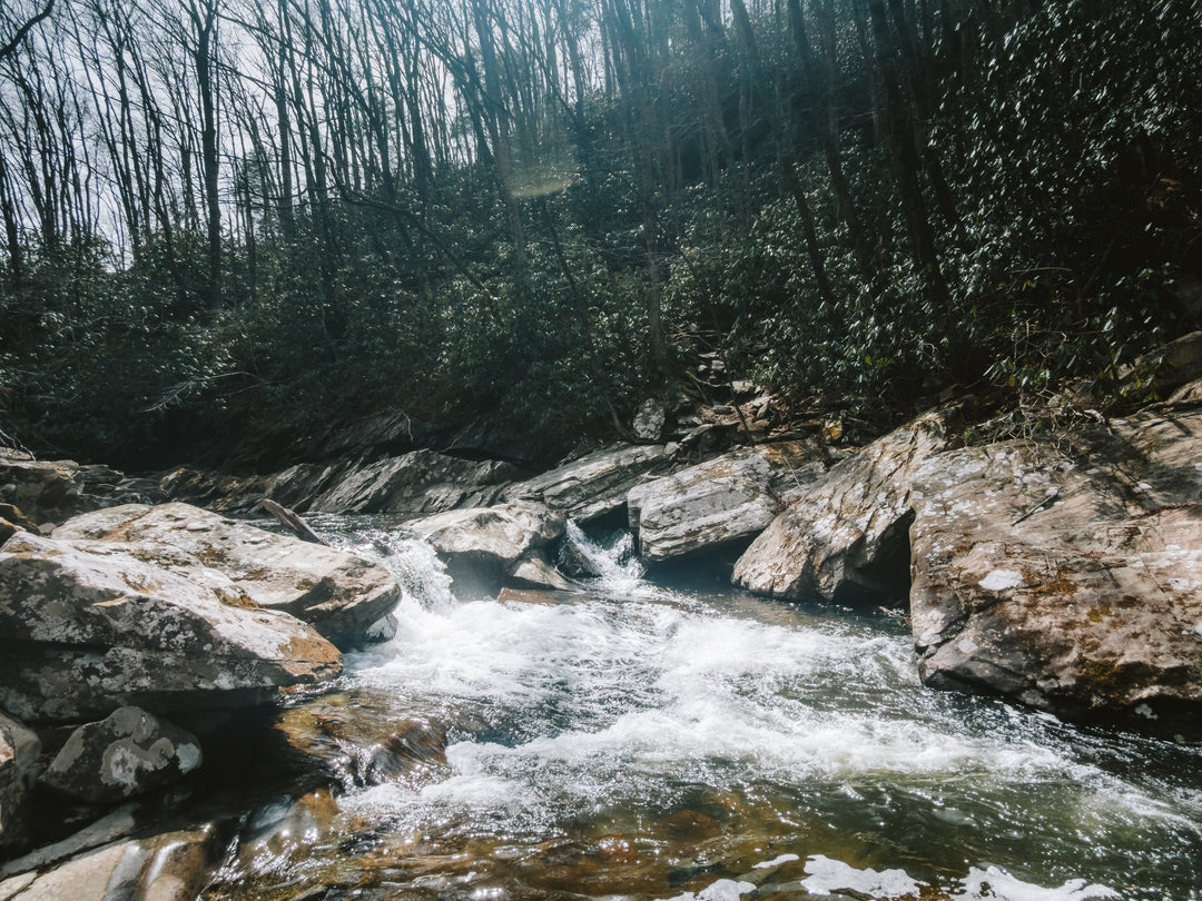 Weekly River Report 3/22/26'-3/28/26'