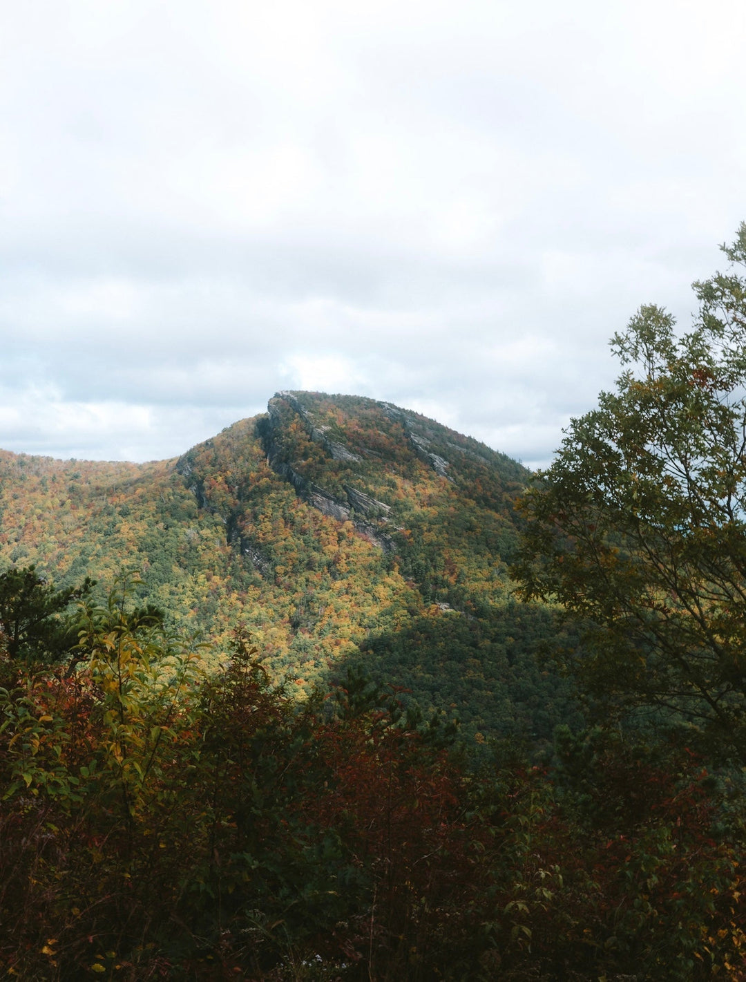 Join us on the trail :