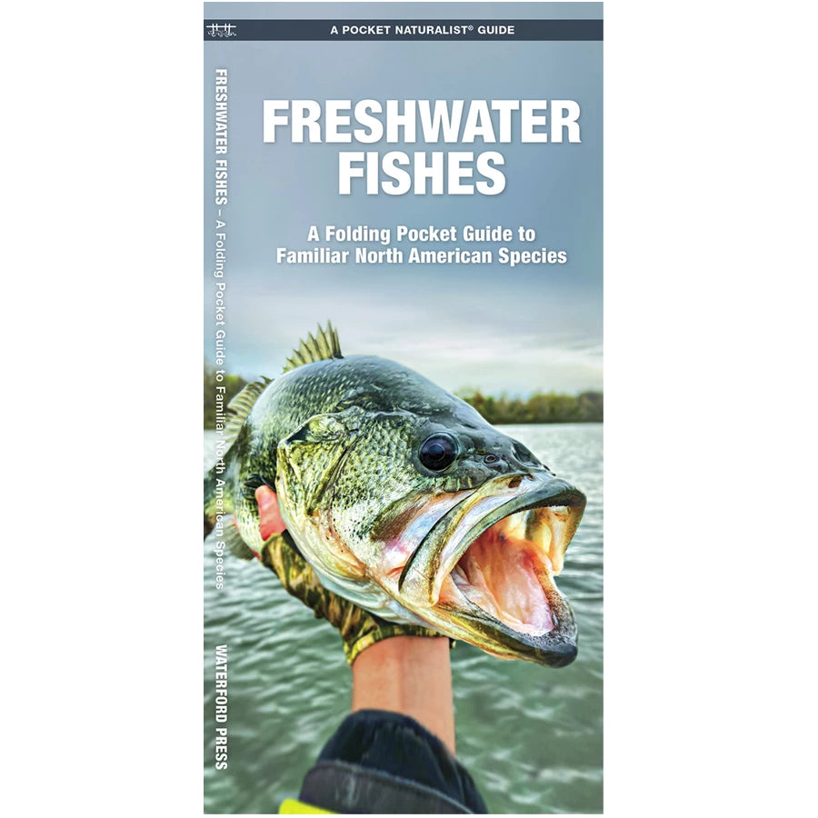 Pocket Naturalist Guide: Freshwater Fishes