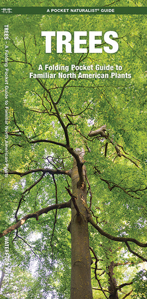 Pocket Naturalist Trees Guide