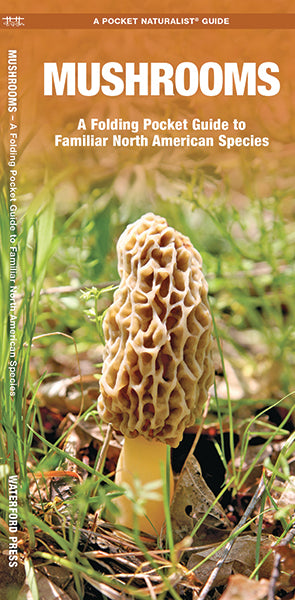 Pocket Naturalist Guide: Mushrooms