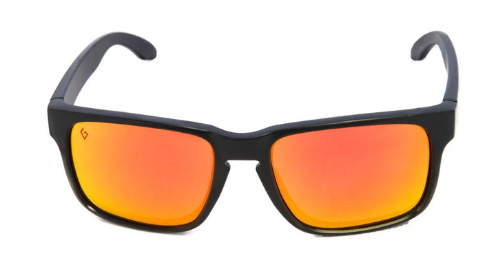 Aries sunglasses