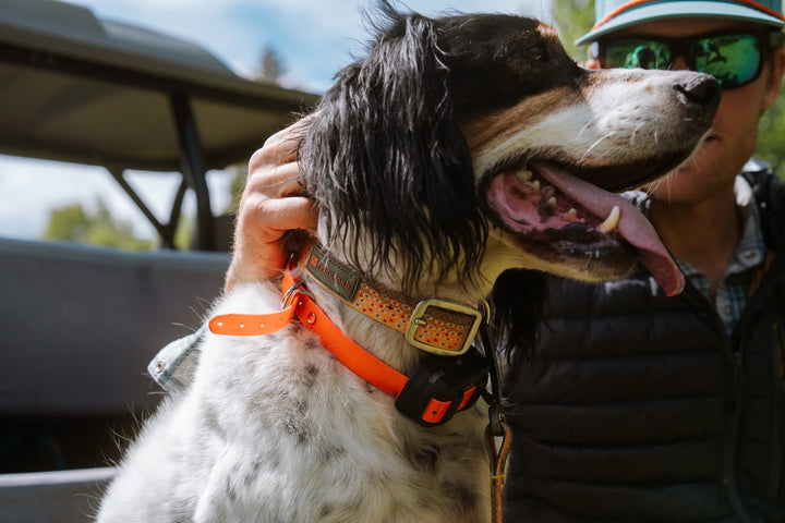 Fishpond Dog Collar