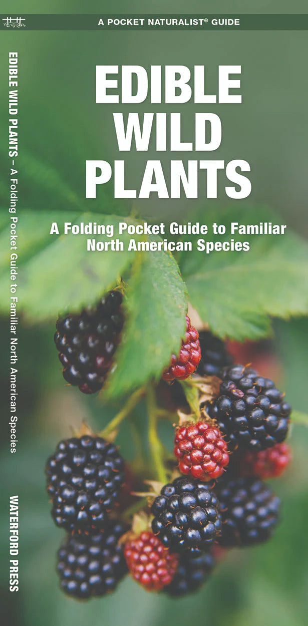 Pocket Naturalist Guide: Edible Wild Plants