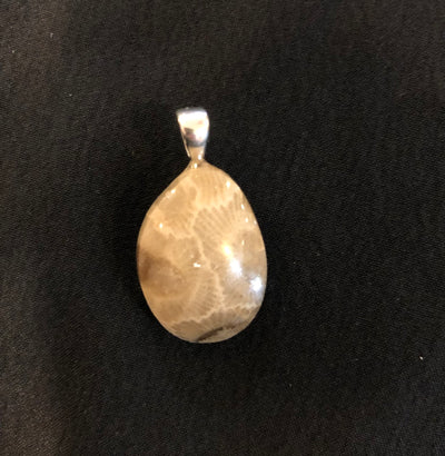 Crystal Creek Gems, Pendant: Petosky Stone