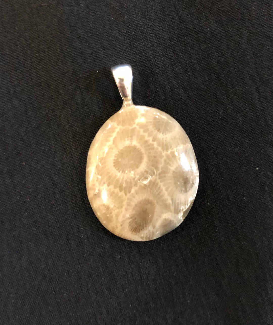 Crystal Creek Gems, Pendant: Petosky Stone