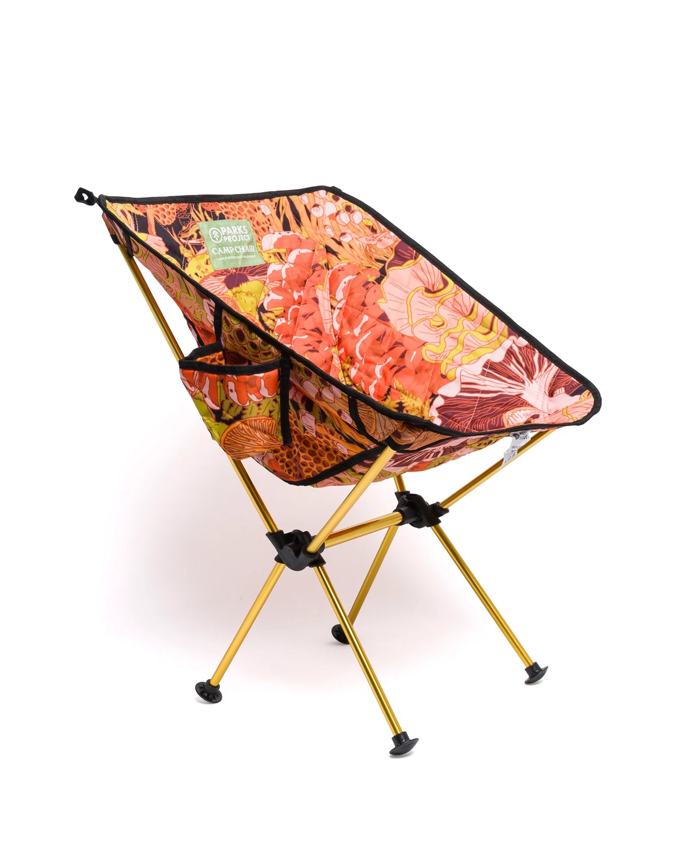 Parks Project Rooted in Nature Packable Camp Chair