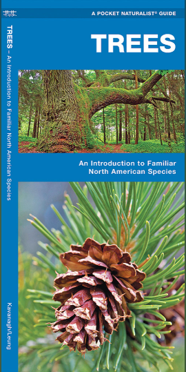 Pocket Naturalist Trees Guide