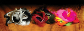 Rabbit Strip Combo Pack