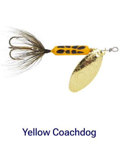 Wordens Original Rooster Tail