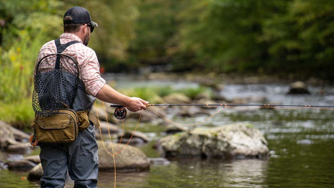 Guided Fly Fishing