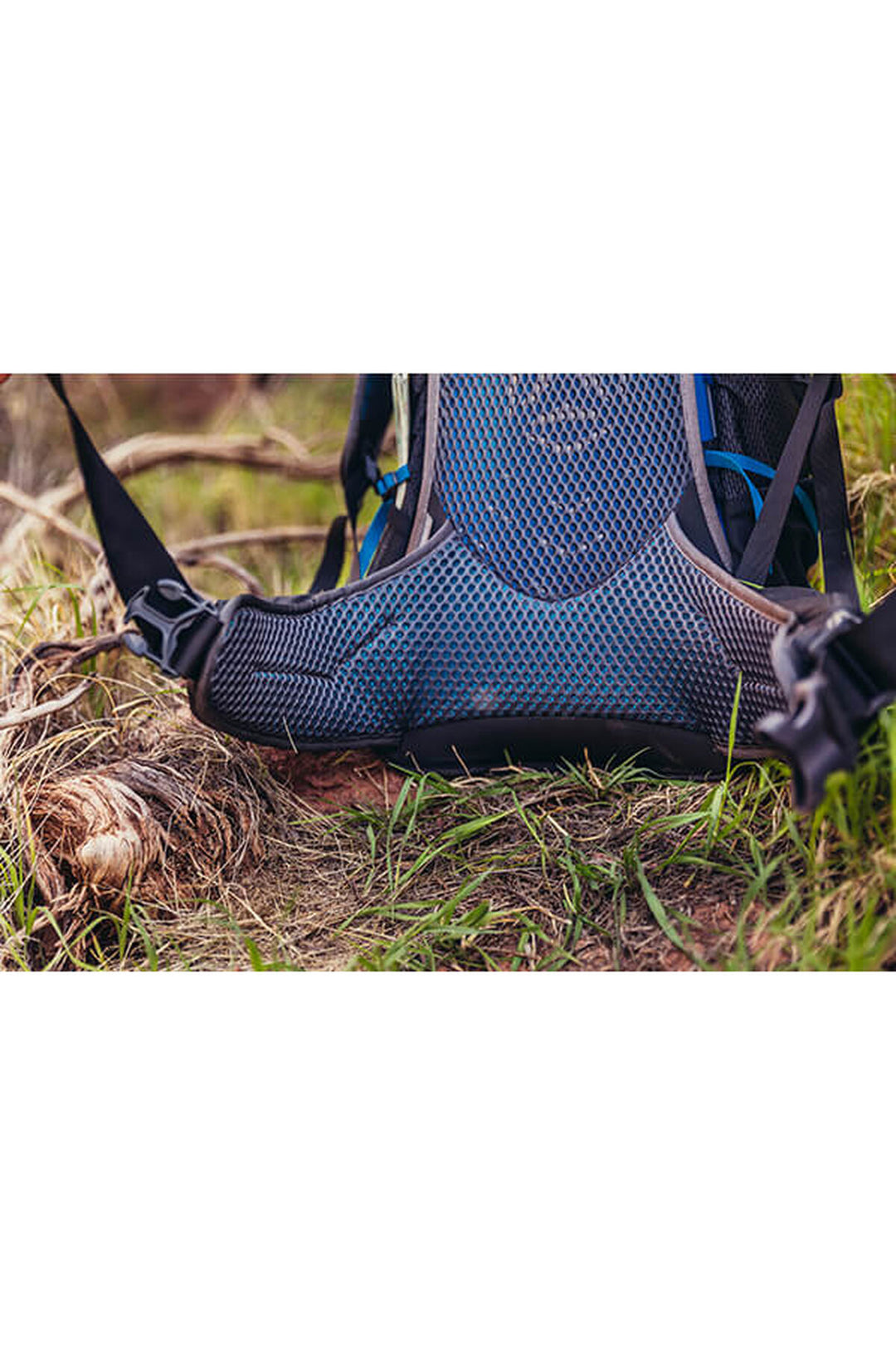 Gregory Citro 30 in Ozone Black image 6