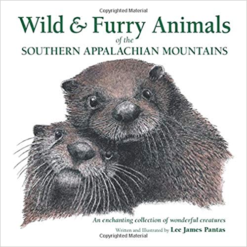 Wild & Furry Animals of the Southern Appalachian Mountains