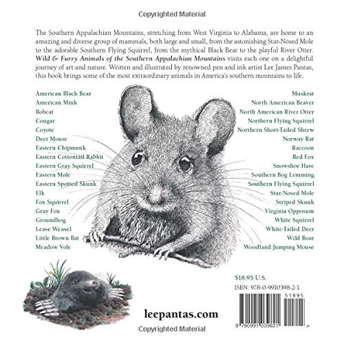 Wild & Furry Animals of the Southern Appalachian Mountains