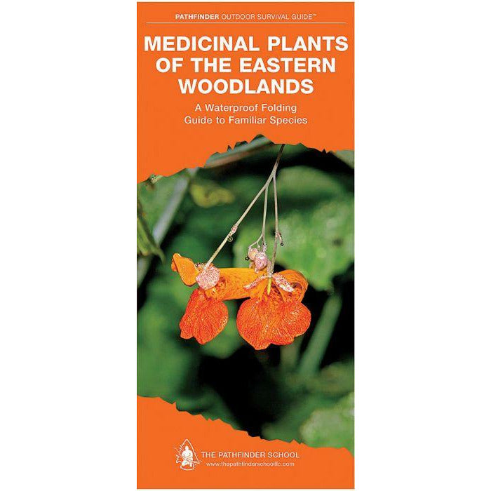 Medicinal Plants of the Eastern Woodlands: A Waterproof Folding Guide to Familiar Species