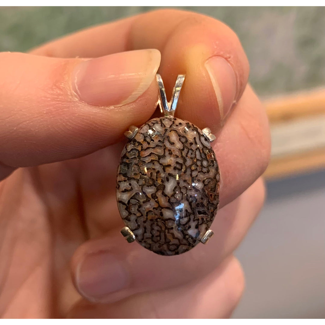 Crystal Creek Gems: Red Dinosaur Agate Pendant