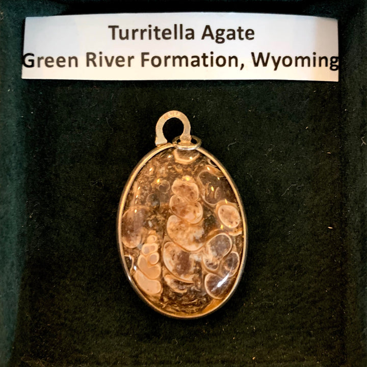 Pendant: Turritella Agate