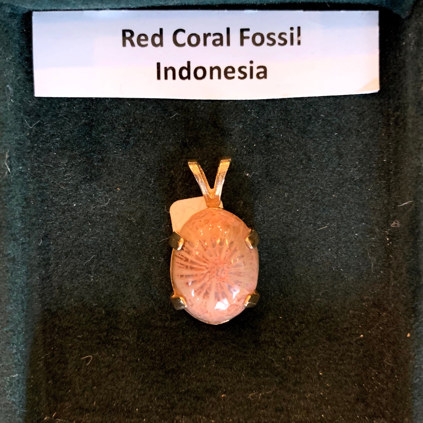 Pendant: Red Coral