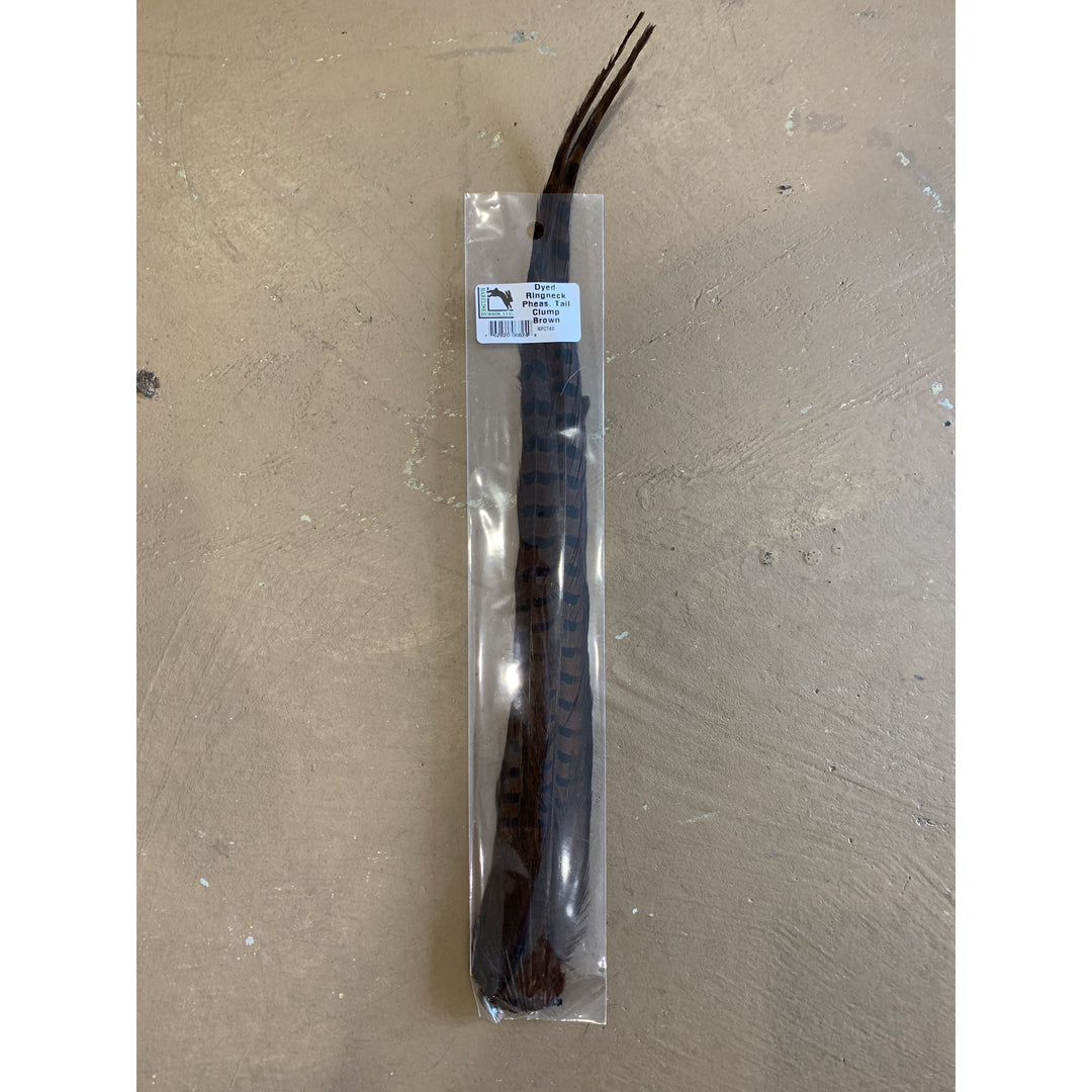Ringneck Pheasant Tail Clump