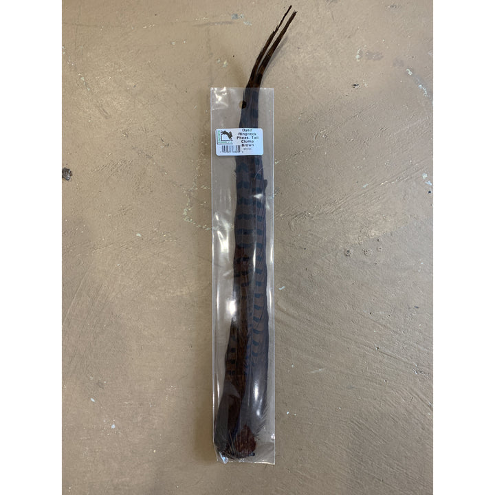 Ringneck Pheasant Tail Clump
