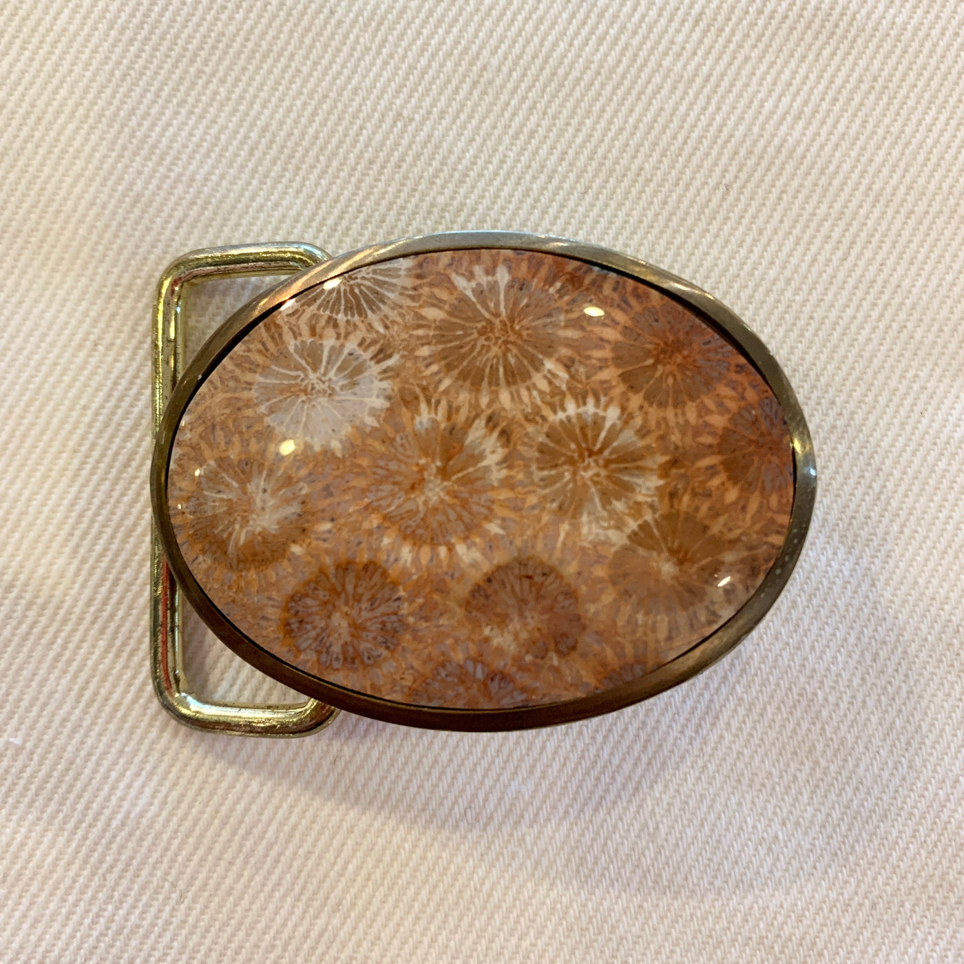 Belt Buckle: Red Coral Fossil