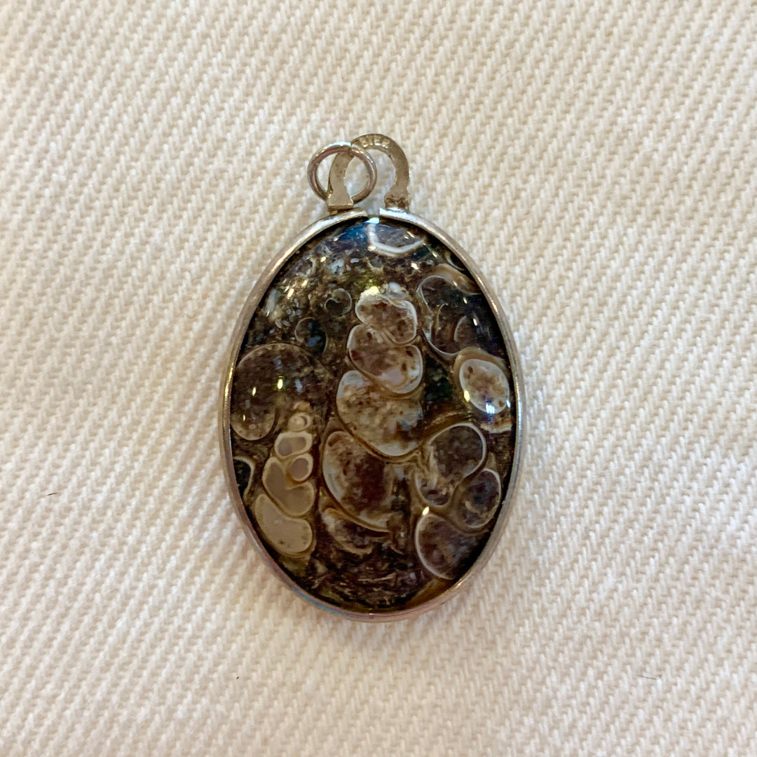 Pendant: Turritella Agate