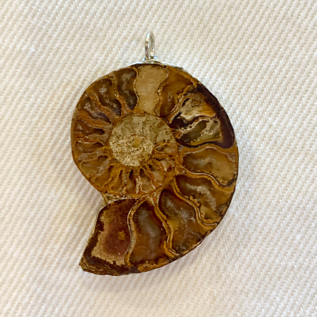 Pendant: Ammonites