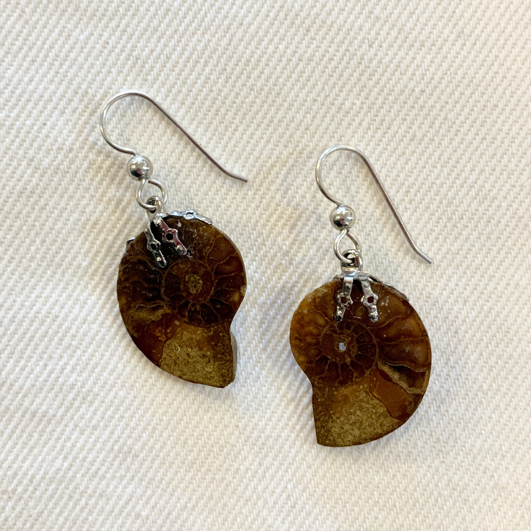 Crystal Creek Gems: Ammonite Earrings