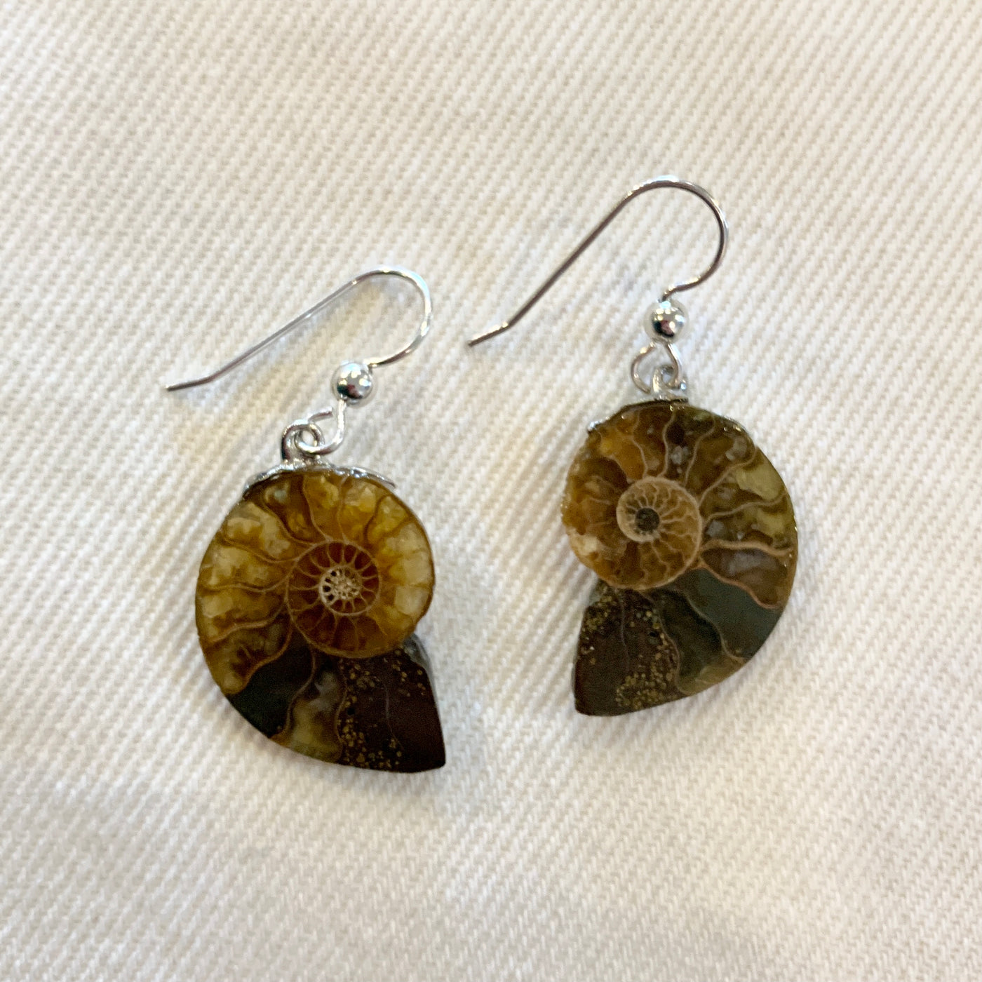 Crystal Creek Gems: Ammonite Earrings