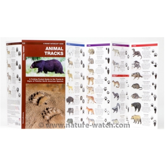 Pocket Naturalist Guide: Animal Tracks
