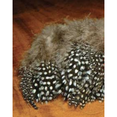 Strung Guinea Feathers