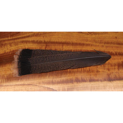 Cinnamon Tip Turkey Tail Feathers