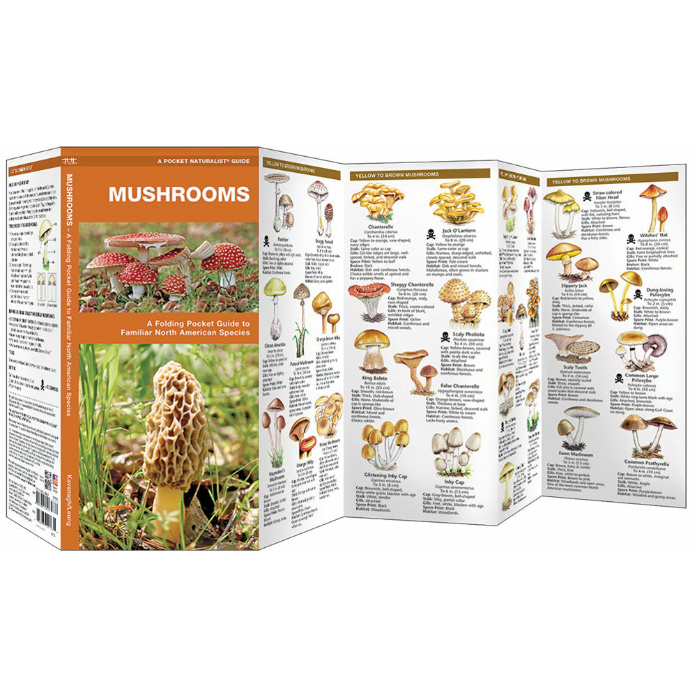 Pocket Naturalist Guide: Mushrooms