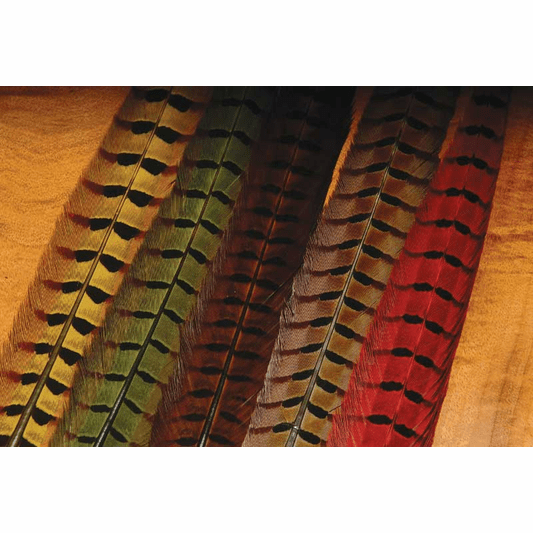 Ringneck Pheasant Tail Feathers Natural