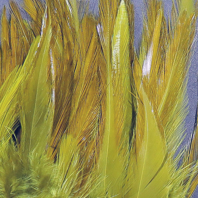 Strung Chinese Saddle Hackle 5-7" Olive